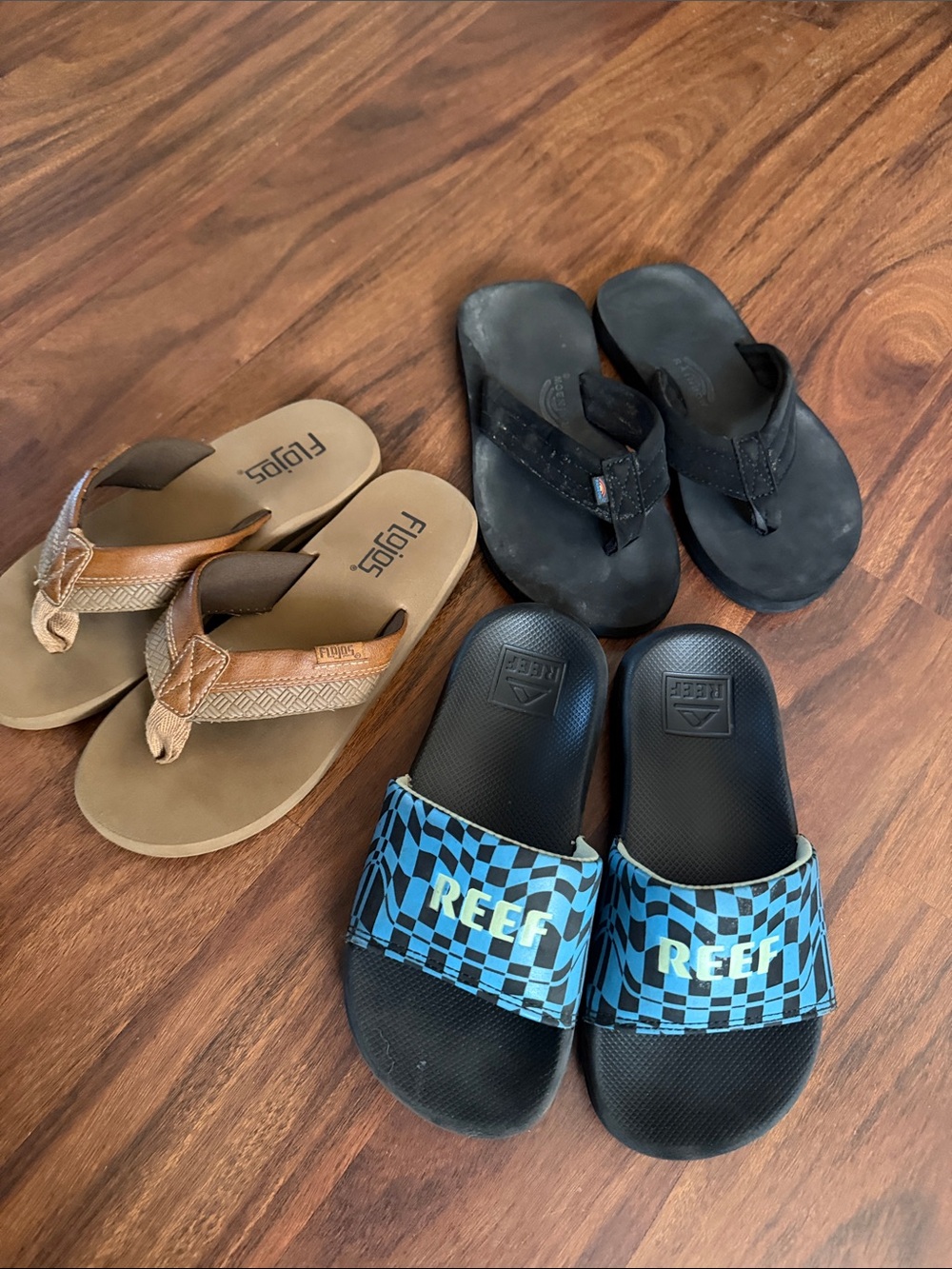 Bundle of Reef Blue, Black Checker Slide Sandals Black Rainbow flip flops &Floho